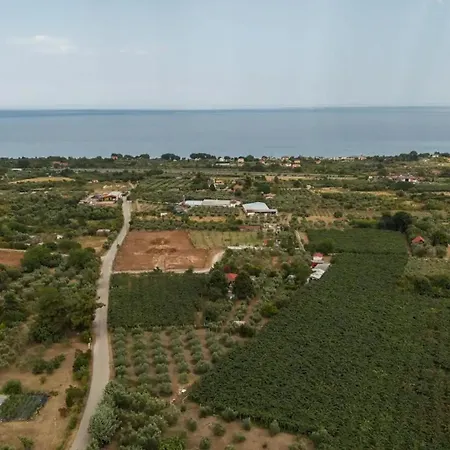Ktima Panelen * Plaka Litochorou