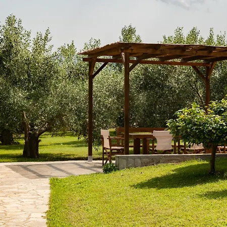 Ktima Panelen Plaka Litochorou